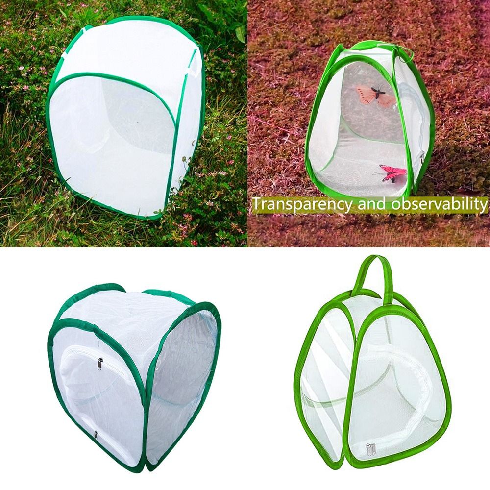 Green Collapsible Insect Cage  - Green Screen Collapsible recensione e prezzo