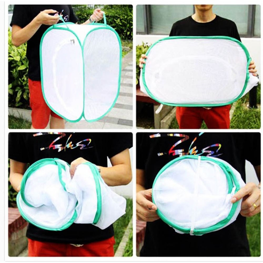 Green Collapsible Insect Cage  - Green Screen Collapsible recensione e prezzo