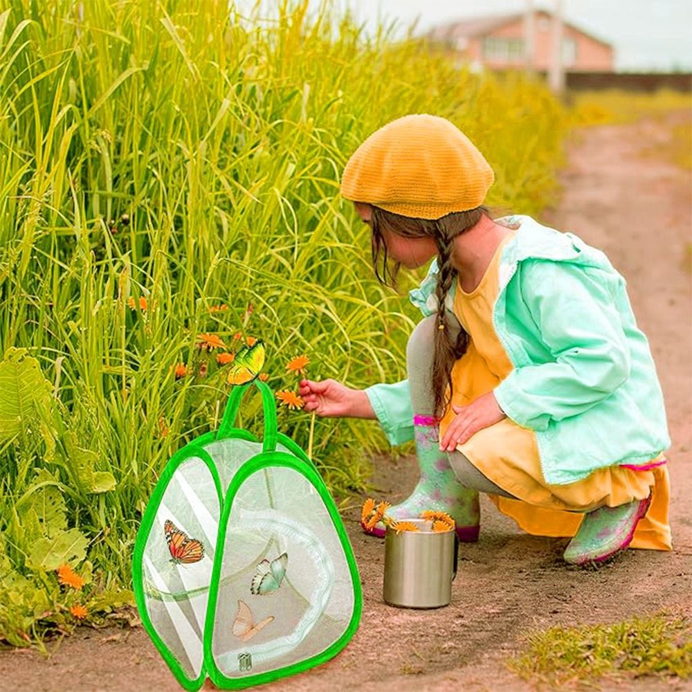 Green Collapsible Insect Cage  - Green Screen Collapsible recensione e prezzo