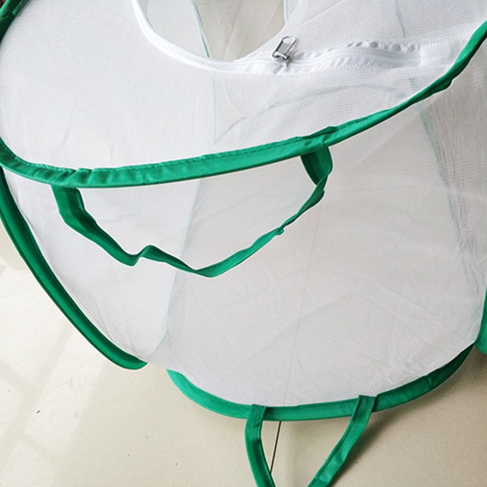 Green Collapsible Insect Cage  - Green Screen Collapsible recensione e prezzo