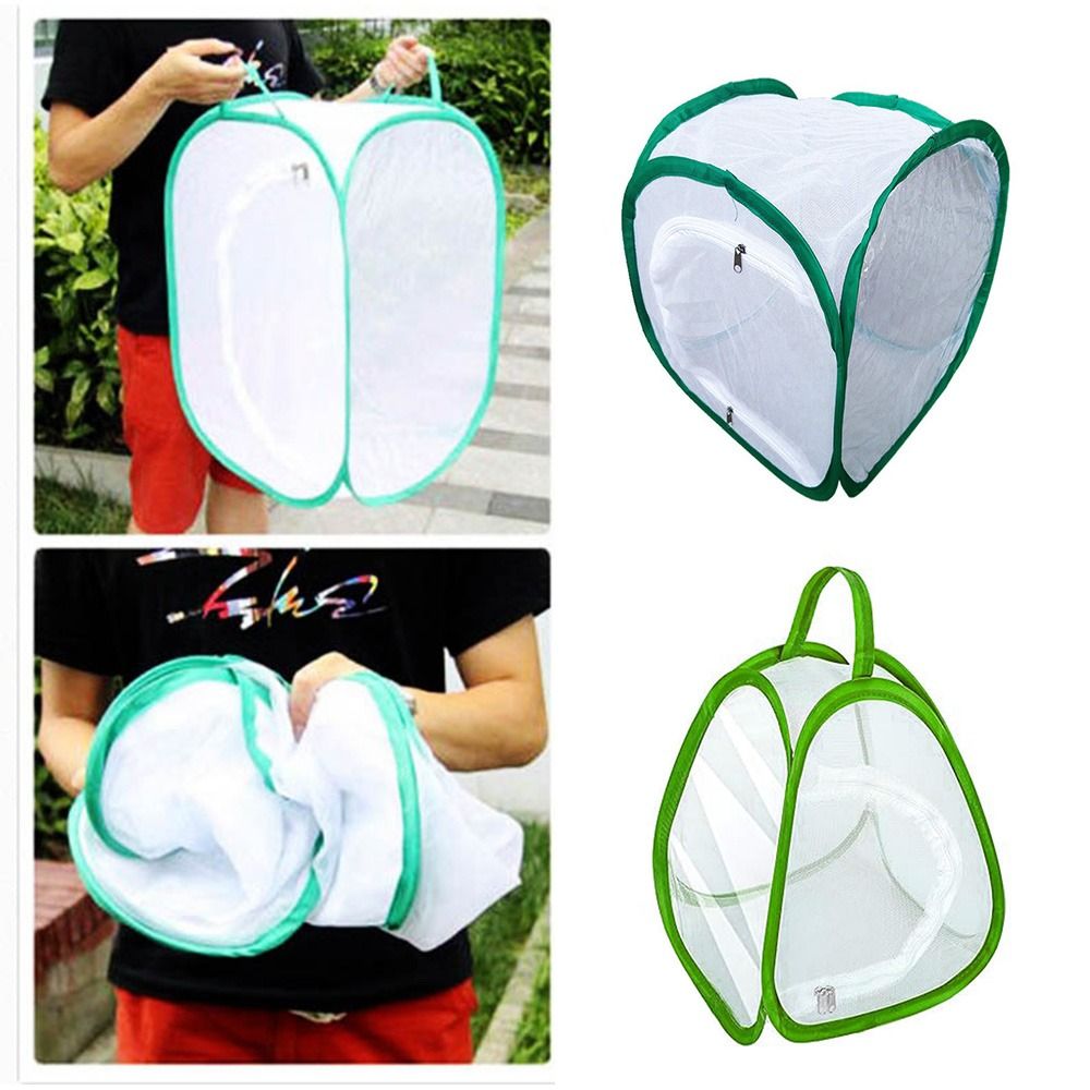 Green Collapsible Insect Cage  - Green Screen Collapsible recensione e prezzo