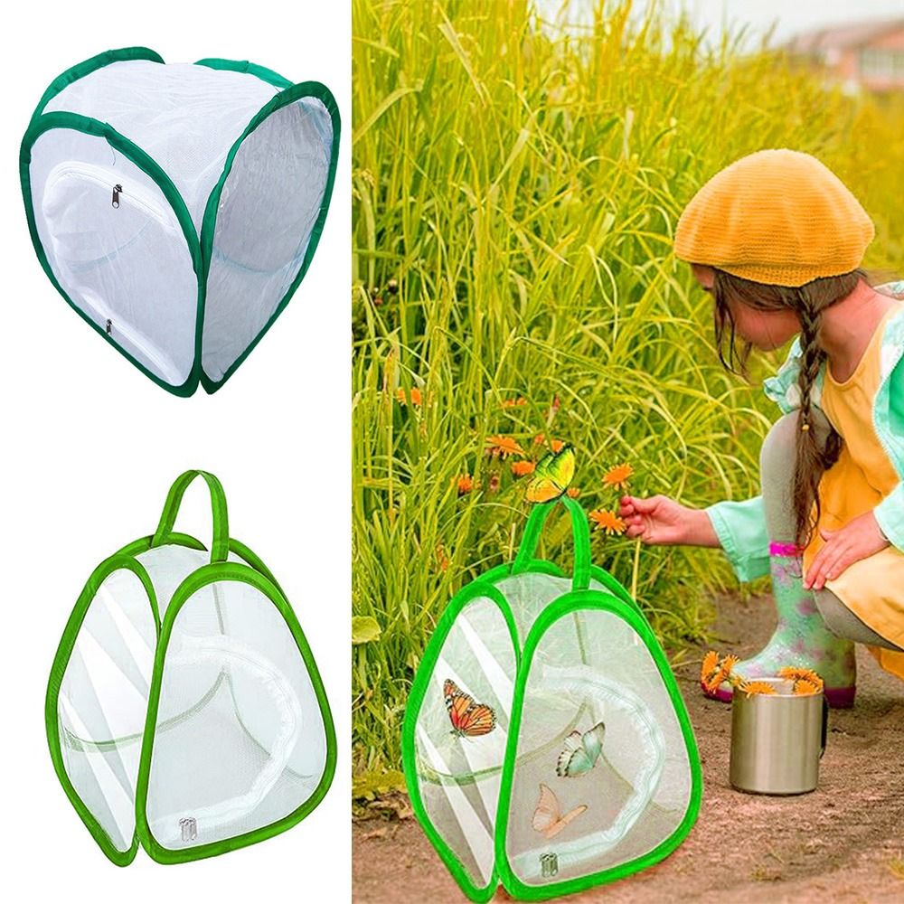 Green Collapsible Insect Cage  - Green Screen Collapsible recensione e prezzo