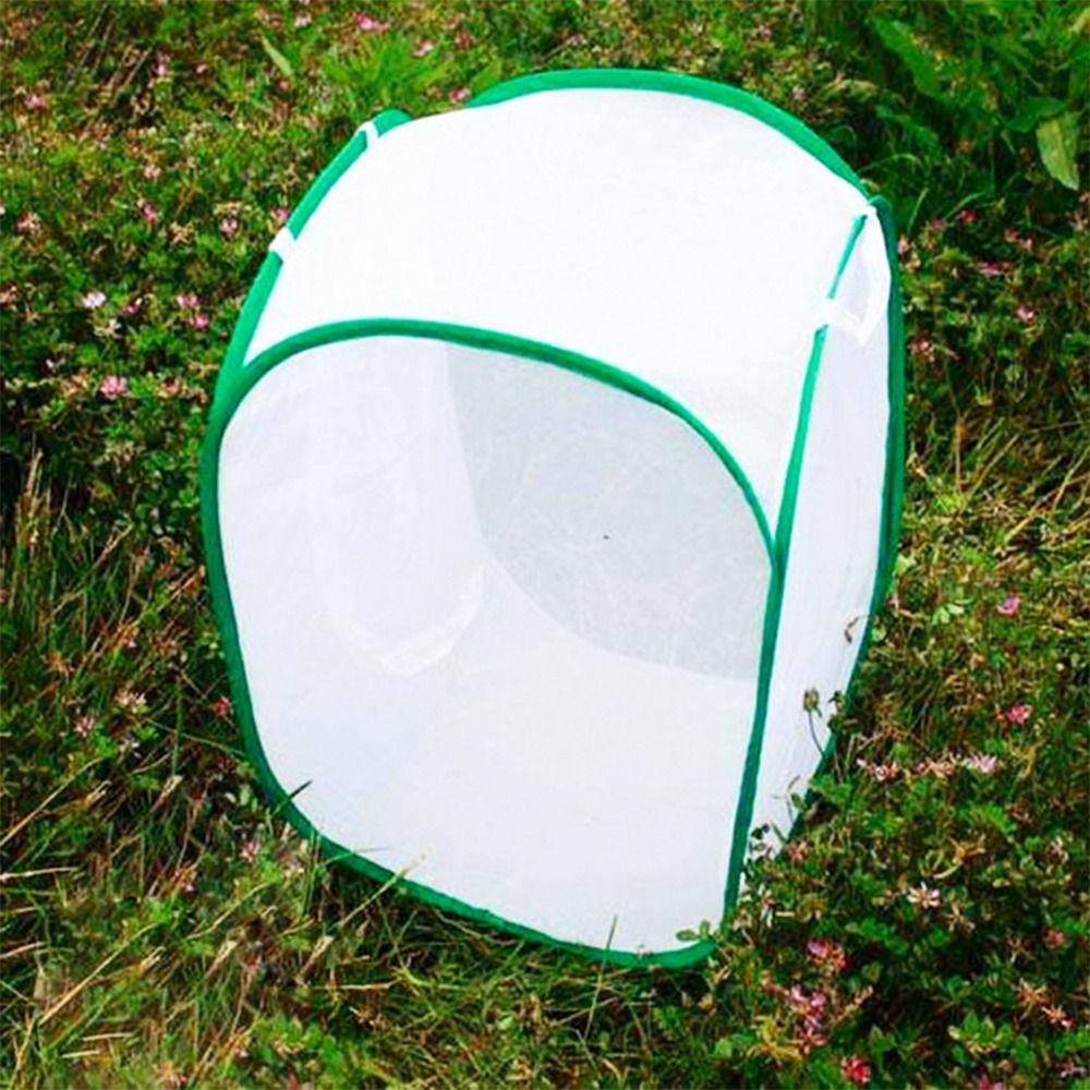 Green Collapsible Insect Cage  - Green Screen Collapsible recensione e prezzo